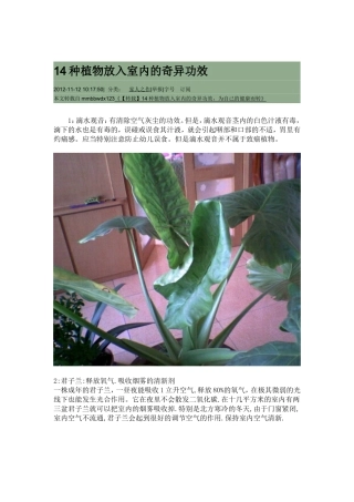 种植物放入室内的奇异功效