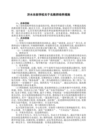 济水东街学校关于名教师培养措施