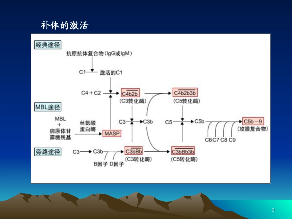 血清补体测定幻灯片_第3页