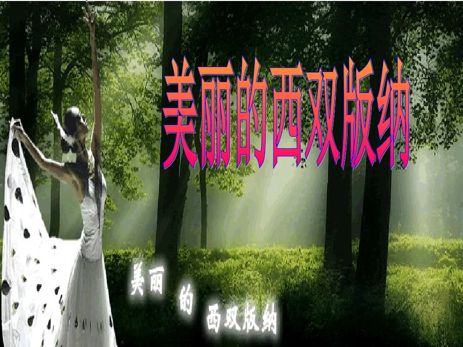 《美丽的西双版纳》_第1页