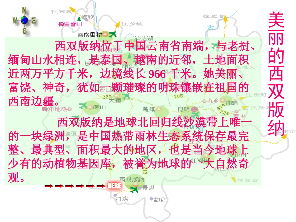 《美丽的西双版纳》_第2页