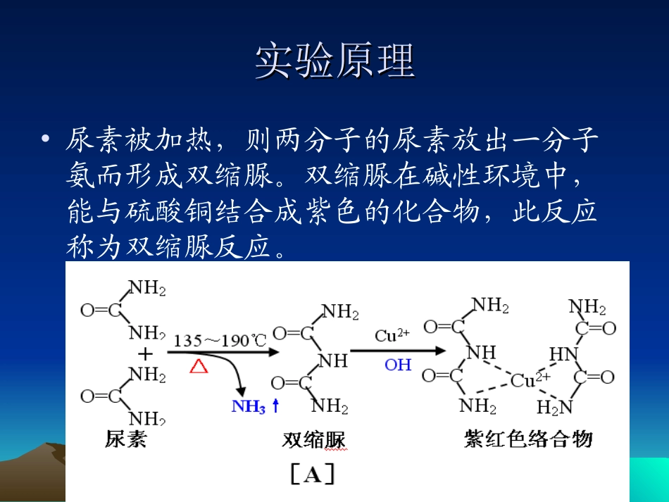 血清总蛋白测定幻灯片_第3页