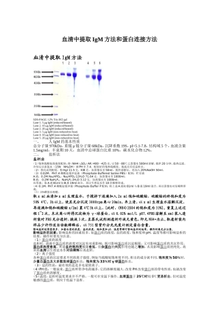 血清中提取IgM方法和蛋白连接方法