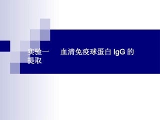 血清免疫球蛋白IgG提取幻灯片