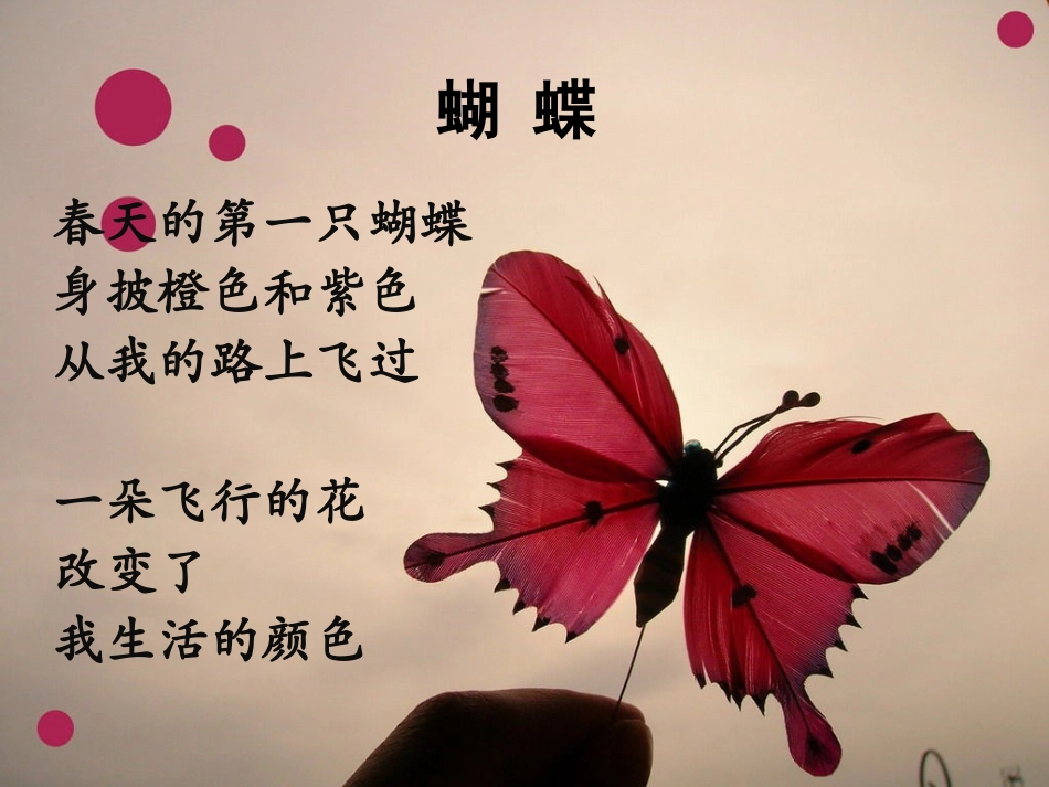 《日有所诵》(三年级下卷)_第3页