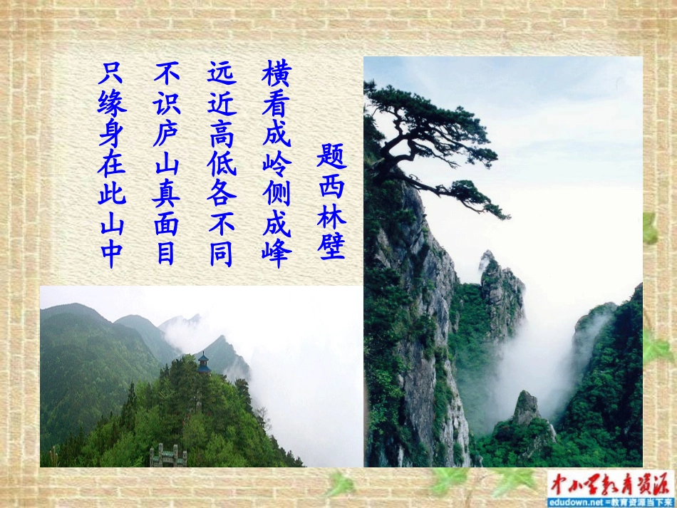 观察物体 (8)_第3页