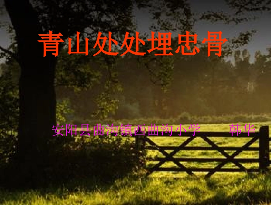 青山处处埋忠骨（同课异构）_第1页