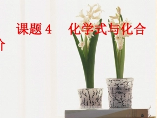 课题4化学式与化合价