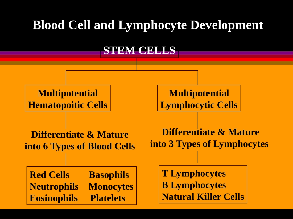 血液病概论与化疗_第3页