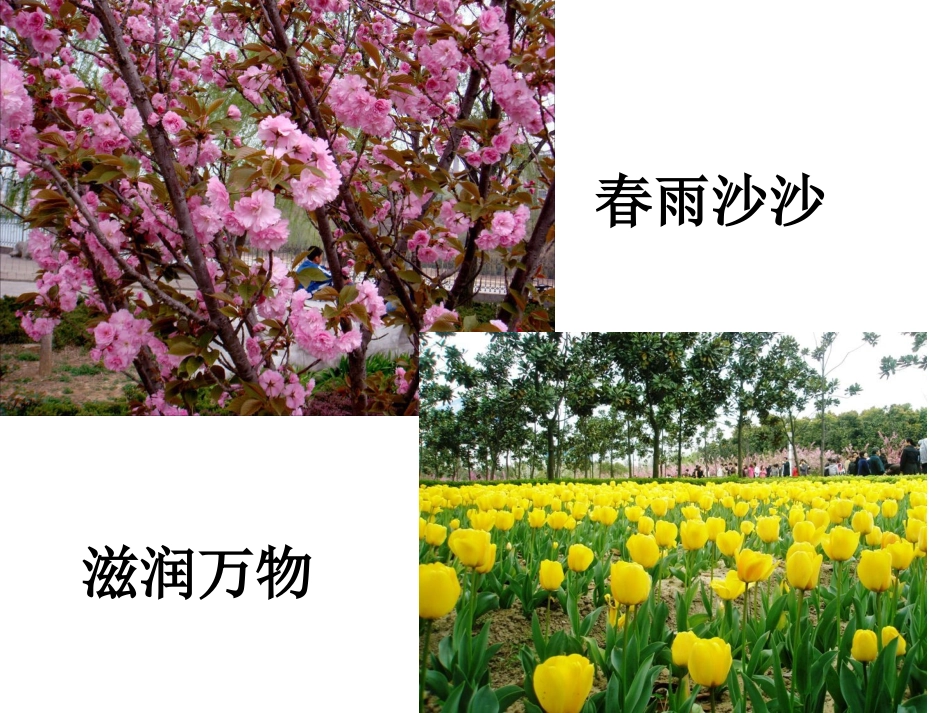 秋天的雨朱桂萍复件_第1页