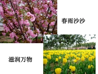 秋天的雨朱桂萍复件