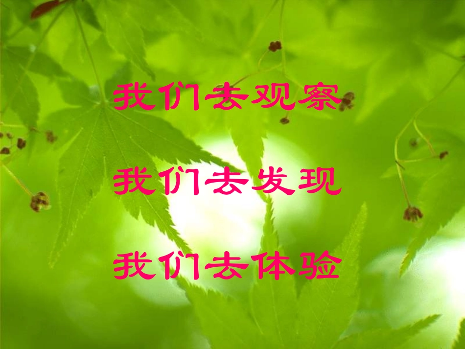 长方形和正方形的认识 (2)_第1页