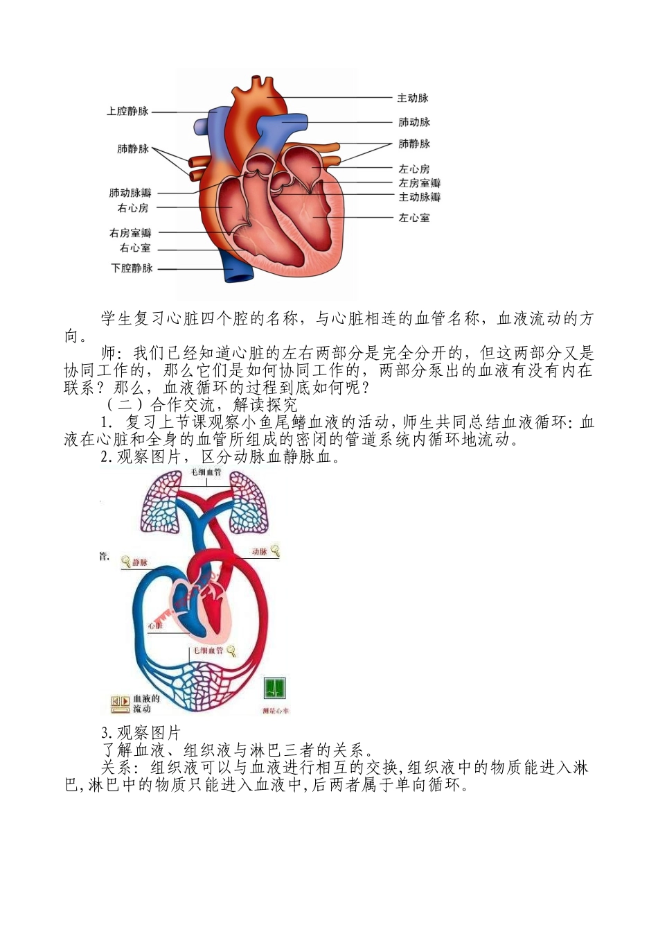 血液循环说课稿_第2页