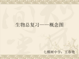 血液循环概念图--王春艳幻灯片