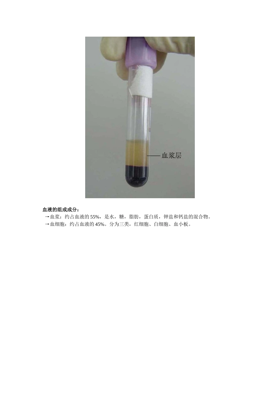 血液基础知识点及图解_第2页