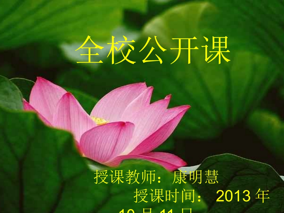 荷叶母亲公开课_第1页