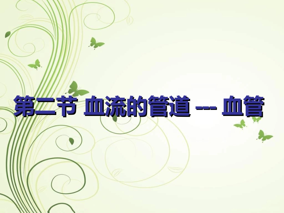 血流通道-血管幻灯片_第1页
