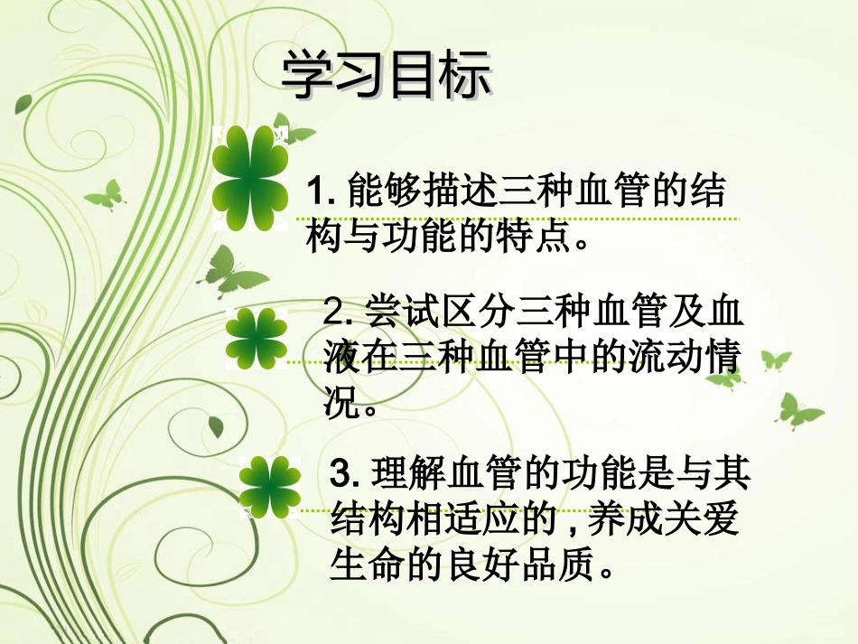 血流通道-血管幻灯片_第2页