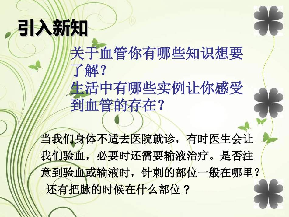 血流通道-血管幻灯片_第3页