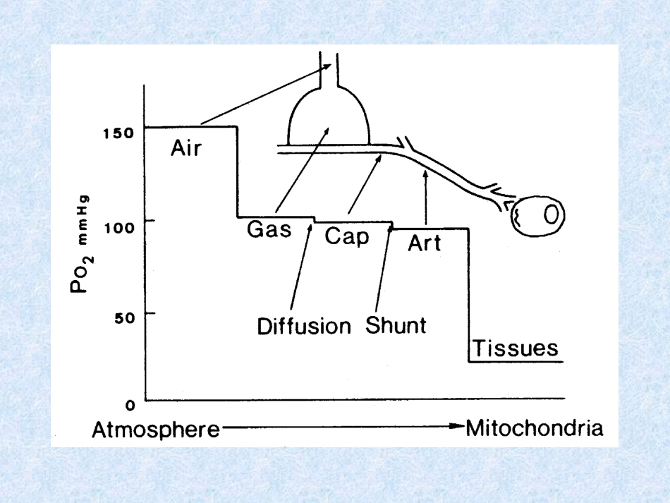 血气分析讲座_第3页