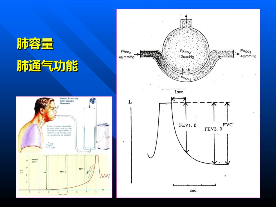 血气分析常用指标1_第1页