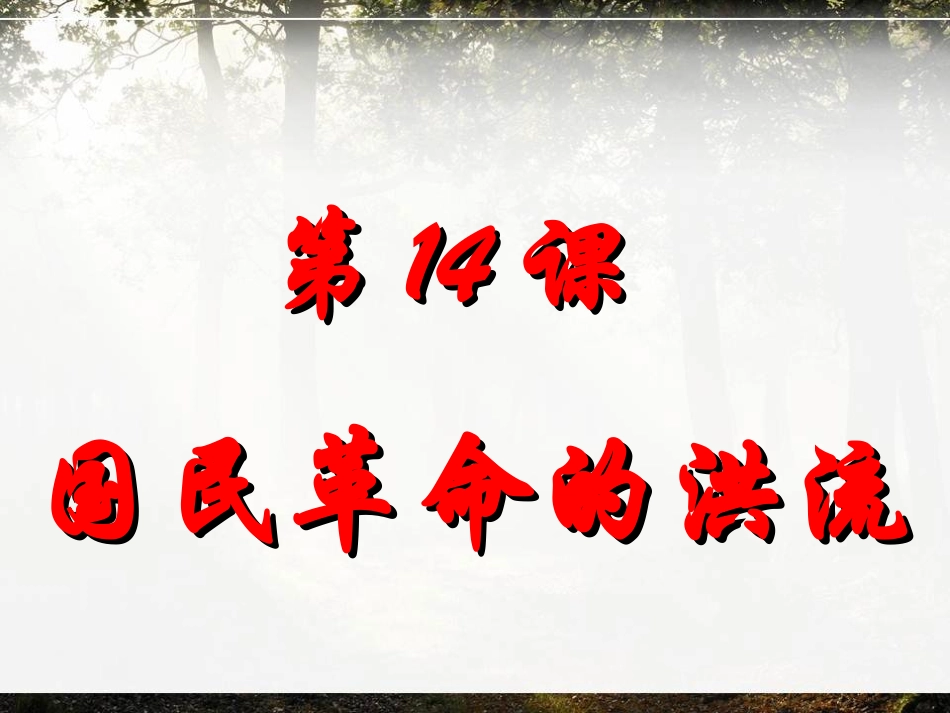 《14课国民革命的洪流》_第2页