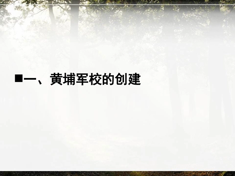 《14课国民革命的洪流》_第3页