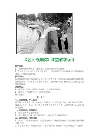 老人与海鸥教学设计