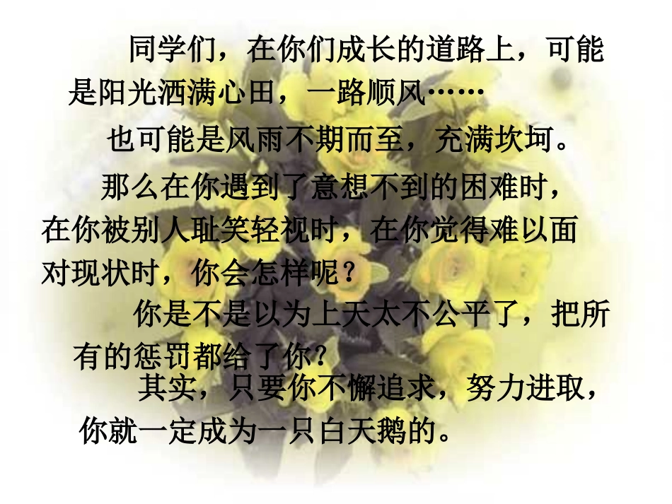 丑小鸭PPT_第1页