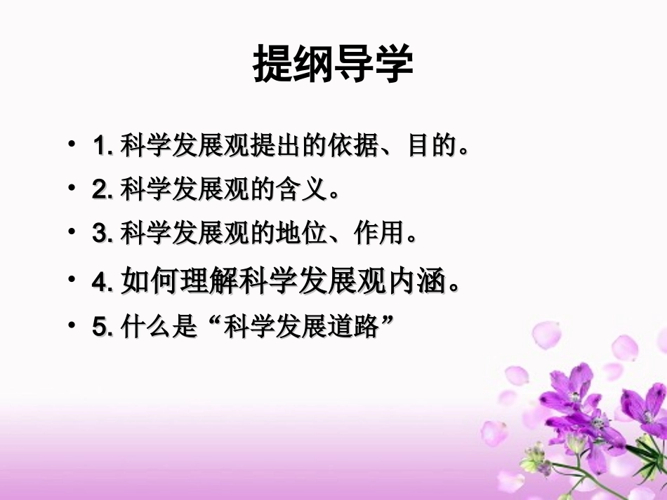 深入落实科学发展观_第2页