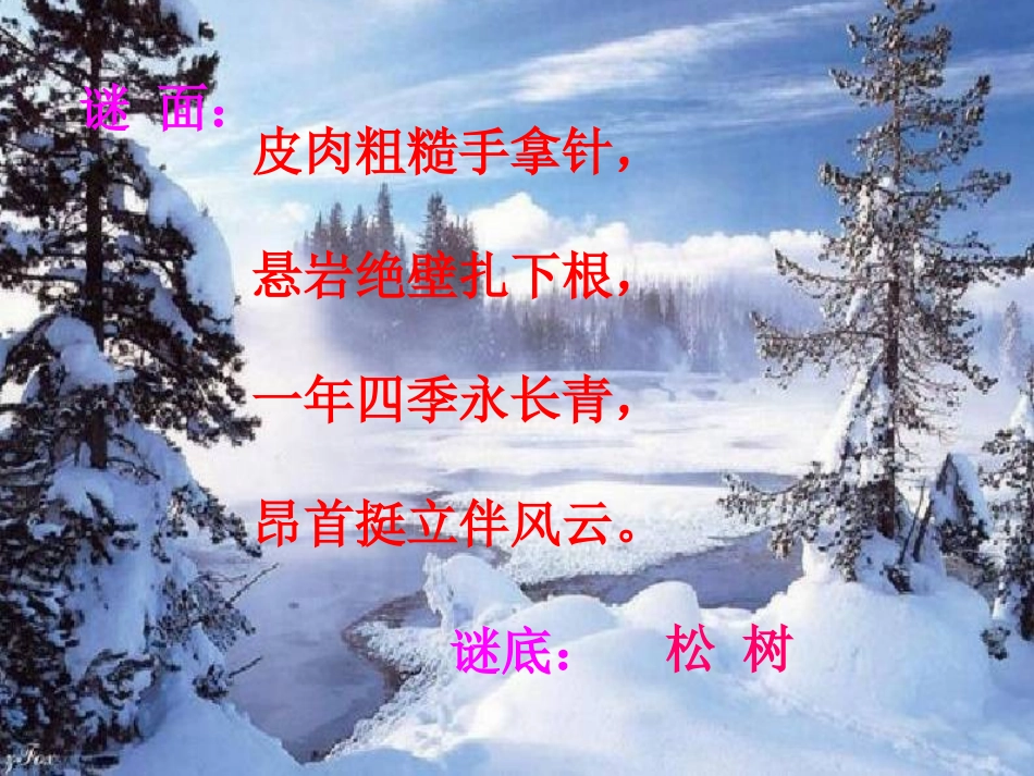 谢亚玲上课课件_第2页