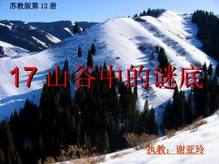 谢亚玲上课课件