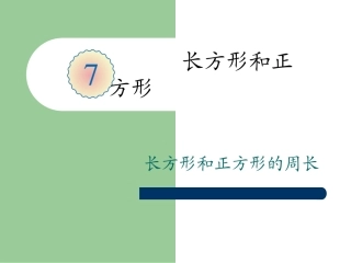 长方形和正方形的周长 (4)