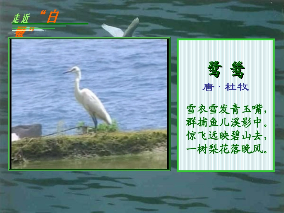 《散文家谈散文》课件1_第2页