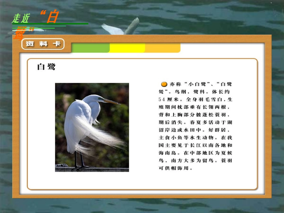 《散文家谈散文》课件1_第3页