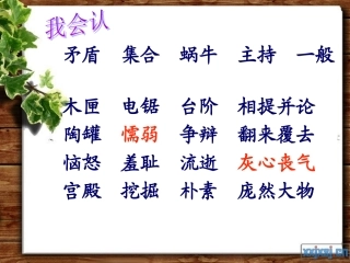 复习展示课张晶