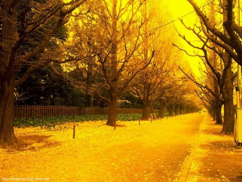 听听_秋的声音_第1页