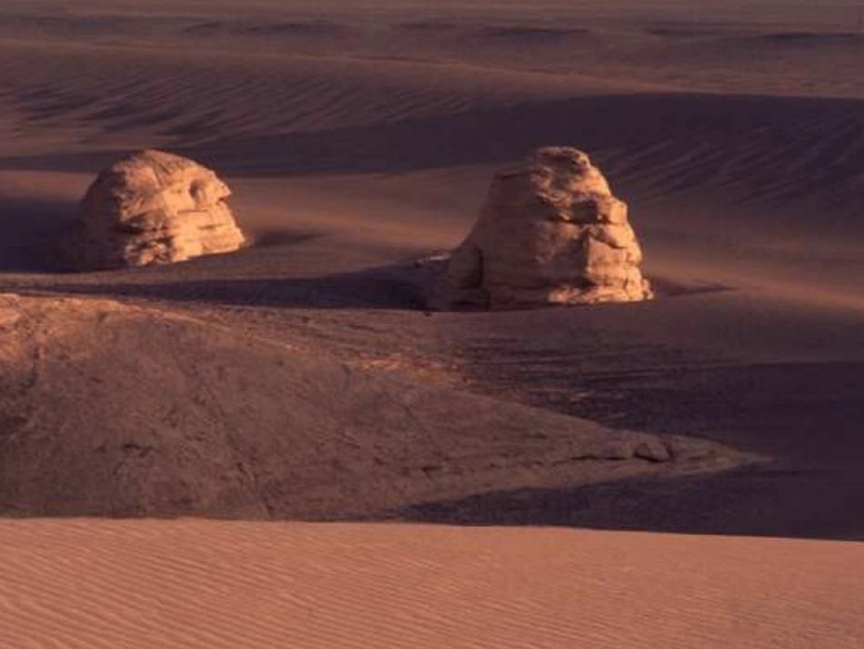 白杨教学课件_第3页