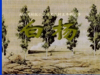 白杨教学课件