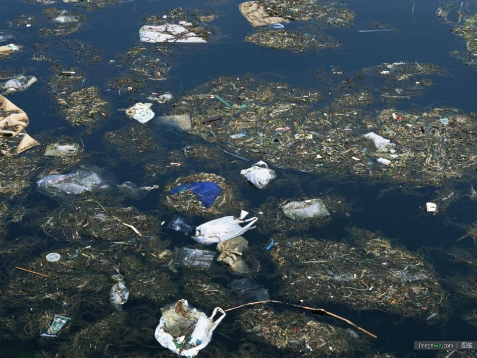 课题1爱护水资源_第3页