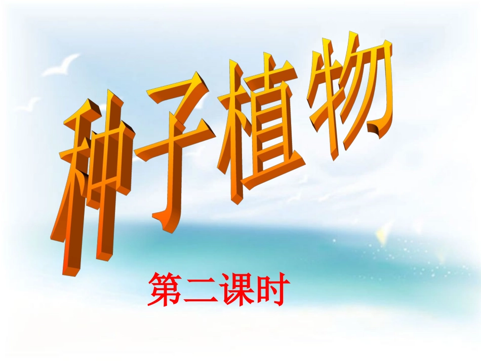 种子植物第二课时参考课件_第1页