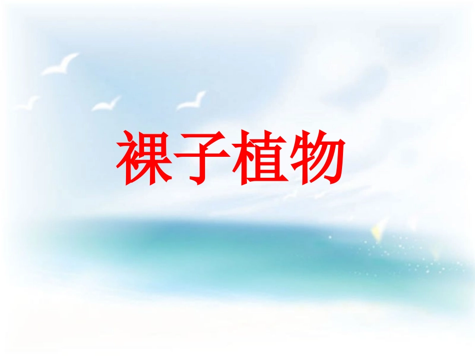 种子植物第二课时参考课件_第3页