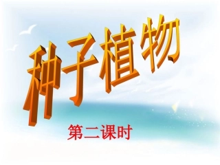 种子植物第二课时参考课件
