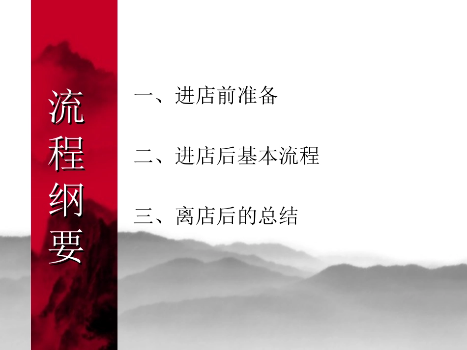 药店的跑店流程_第2页