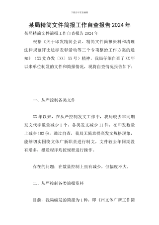 某局精简文件简报工作自查报告2024年
