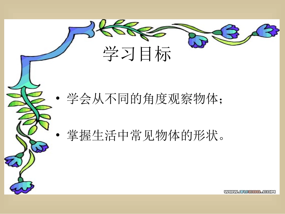 观察物体 (7)_第2页