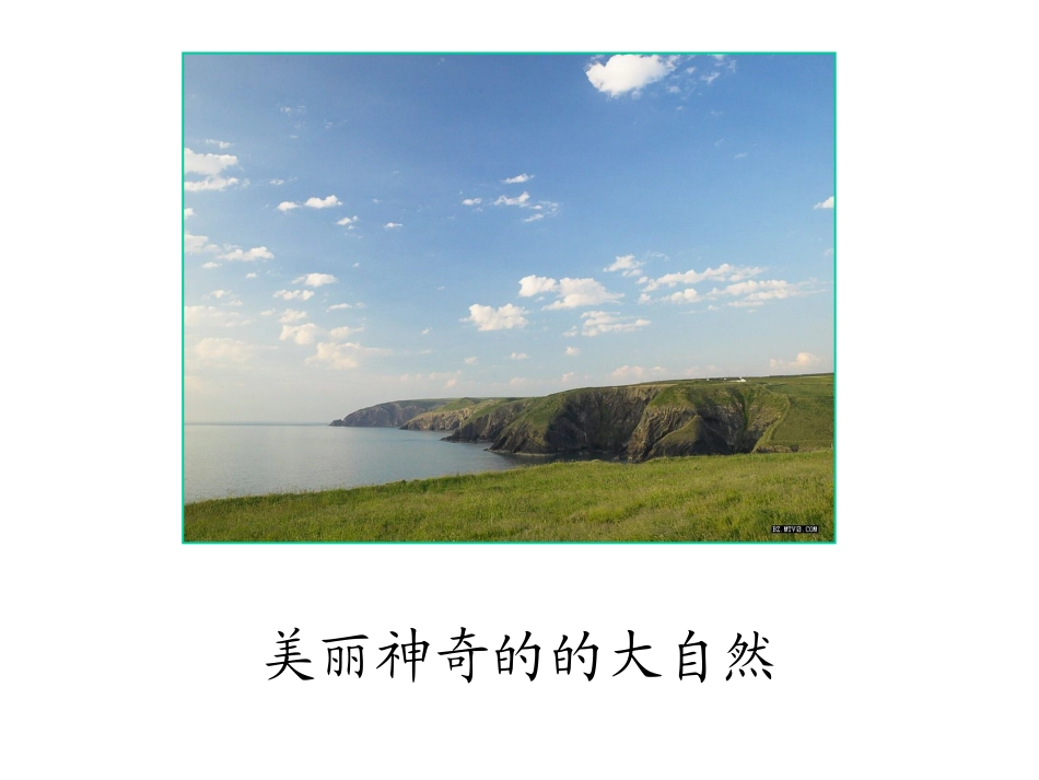 二年级语文上册第一组3植物妈妈有办法第一课时课件_第1页