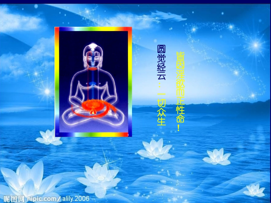 药师佛○小小恩爱觉空空复习_第1页