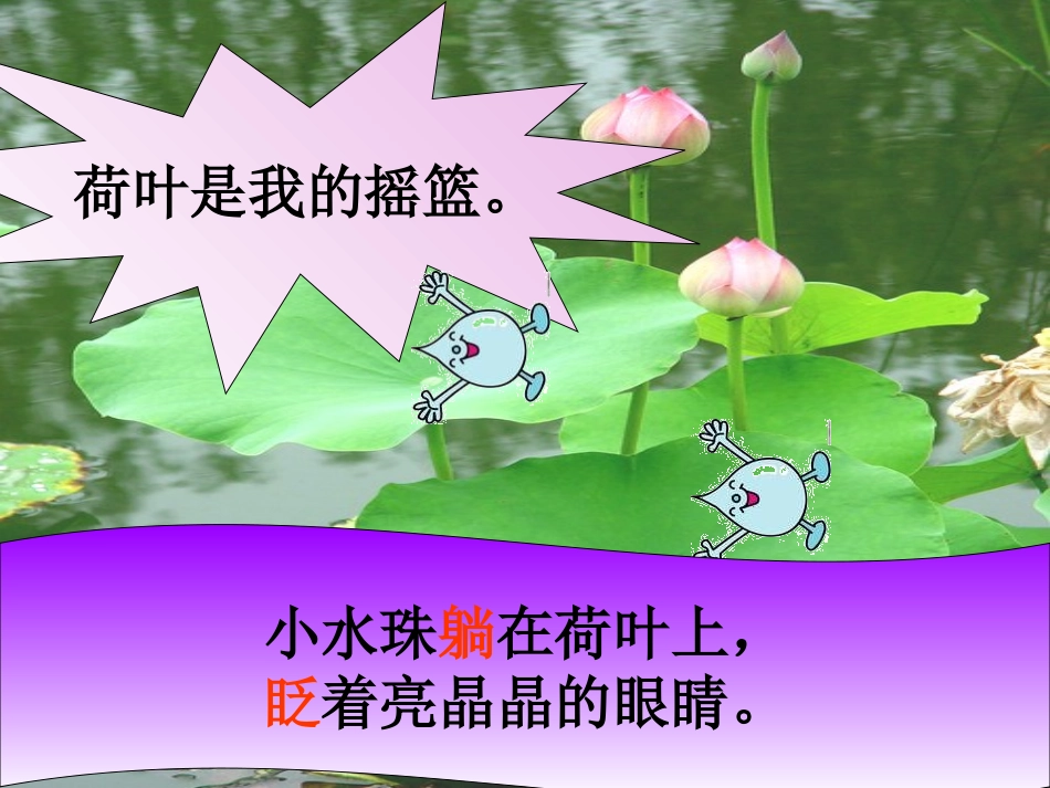荷叶圆圆课件3_第3页