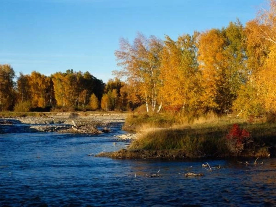 笔算乘法（黄）_第1页